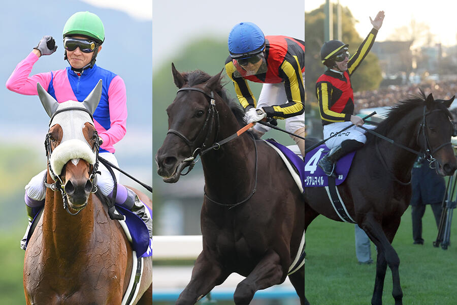 天皇賞・秋】イクイノックス492kg(+8)、ジオグリフ(+24) 調教後の馬